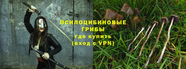 бошки Алексин