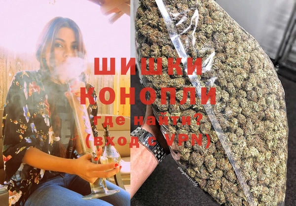 бошки Алексин