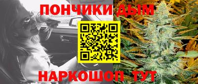 крисы Сланцы