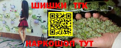 крисы Сланцы
