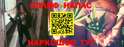 крисы Сланцы