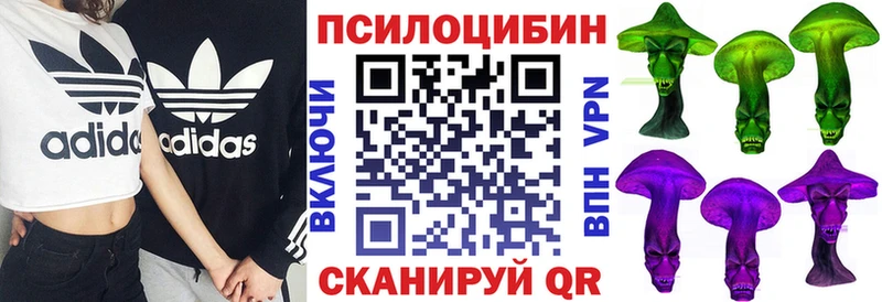 Псилоцибиновые грибы ЛСД Кондопога