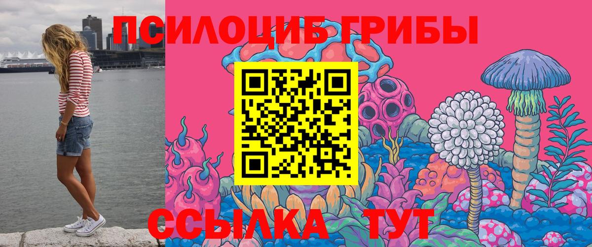 Галлюциногенные грибы Psilocybe Кондопога