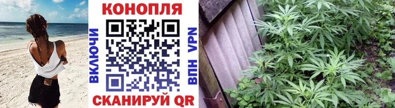 МЕГА ONION  Кондопога  Бошки марихуана сатива  цена  